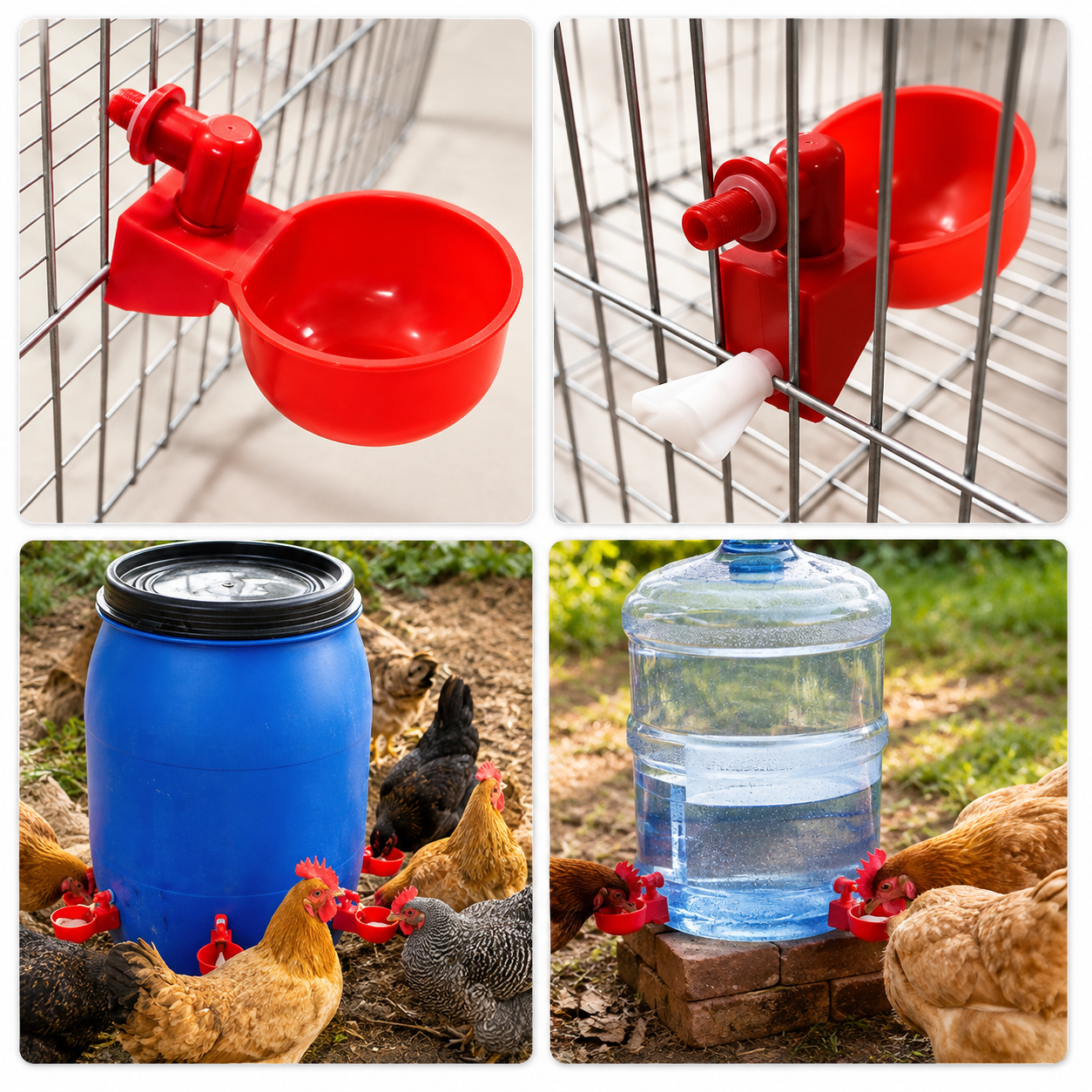 🐓 Abbeveratoio Automatico per Pollame – Acqua Sempre Pulita, Meno Sprechi e Meno Lavoro