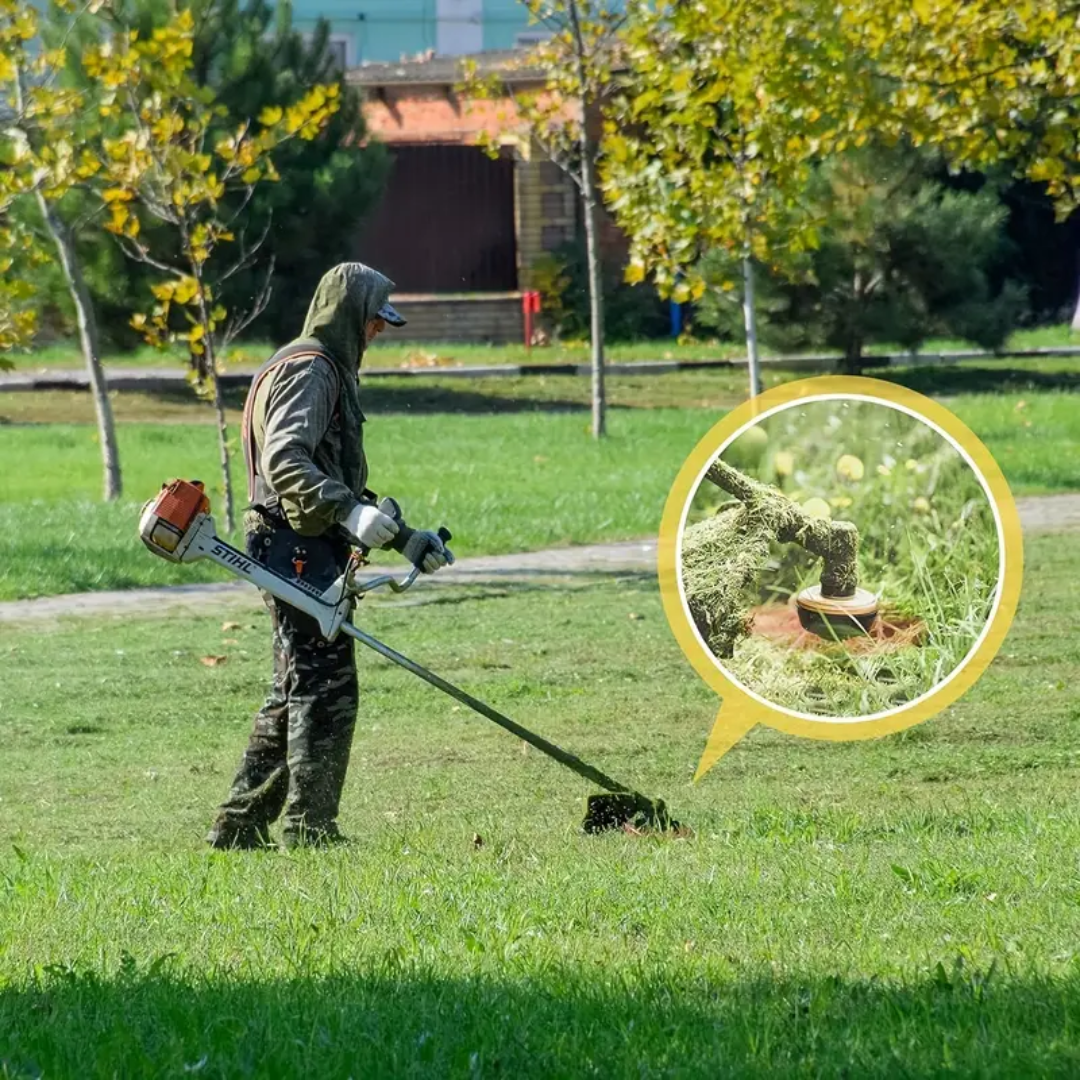 🇮🇹 La testina del tagliabordi ha 6 bordi in acciaio inossidabile (accessori inclusi)
