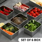 GonBox 304. Frigorifero Ordinato – Conservazione 5 Volte Più Duratura