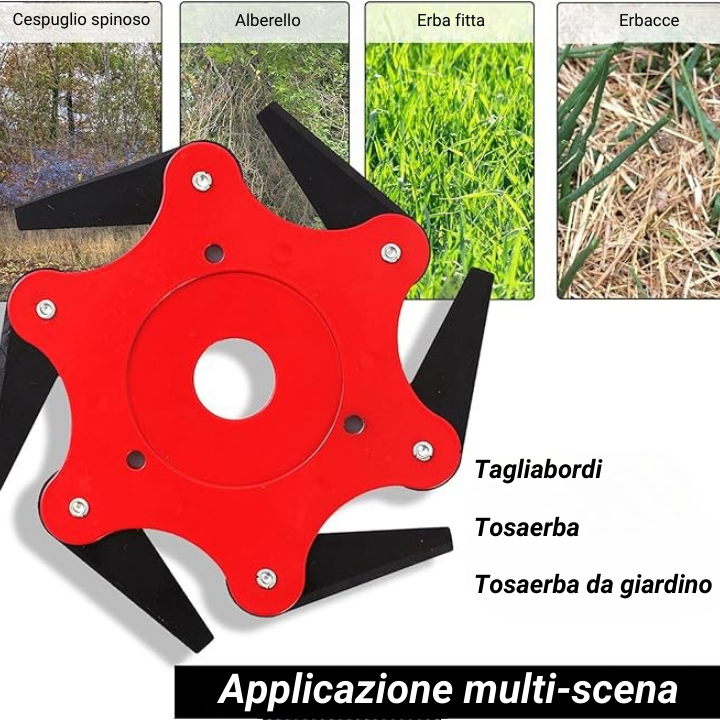[🎁 Accessori Gratuiti] Lama per prato con 6 denti in acciaio