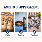 🐓 Abbeveratoio Automatico per Pollame – Acqua Sempre Pulita, Meno Sprechi e Meno Lavoro