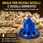 🐓 Mangiatoia automatica per galline, anatre e oche – grande capacità, risparmio di mangime.