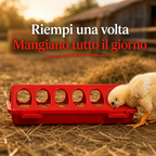 Mangiatoia 12 Fori Anti-Spreco | Polli e Avicoli