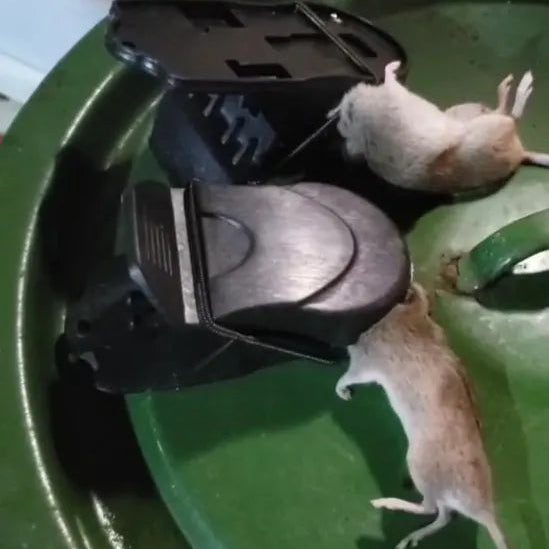 🐭Trappola Meccanica Per Topi – Robusta E Di Elevata Durata