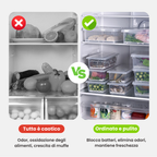 Foody™ Box – Set di 4 scatole per alimenti, senza BPA, mantiene la freschezza, adatto a frigorifero e microonde