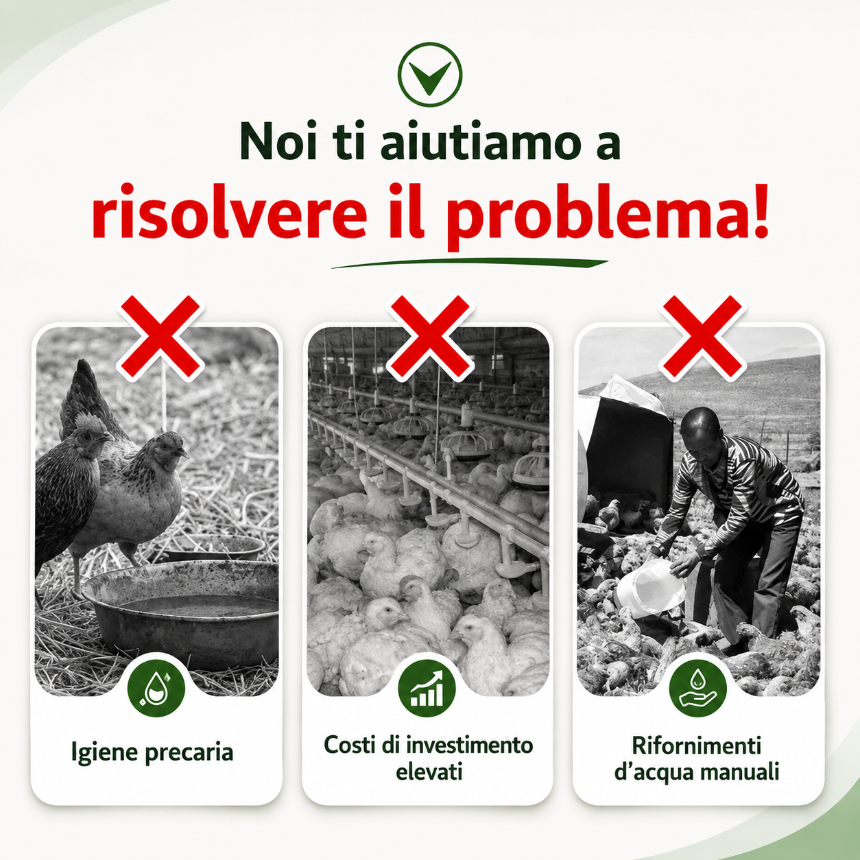 🐓 Abbeveratoio Automatico per Pollame – Acqua Sempre Pulita, Meno Sprechi e Meno Lavoro