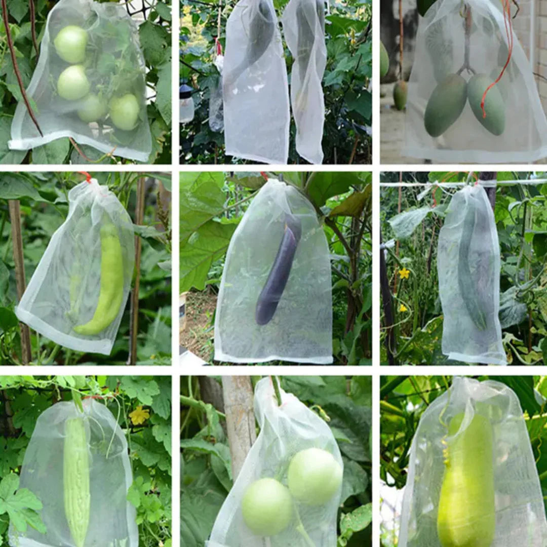 🐛 Sacchetti in Rete Traspirante per Proteggere Frutta e Verdura | Riutilizzabili