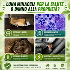 BestSeller™ - Gabbia Trappola Umana Per Topi, Mouse E Scoiattoli Vivi