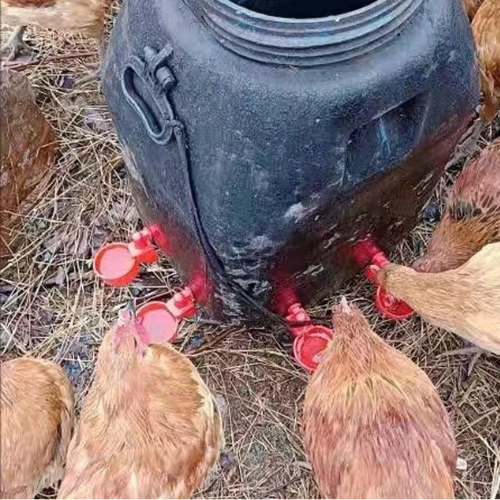 🐓 Abbeveratoio Automatico per Pollame – Acqua Sempre Pulita, Meno Sprechi e Meno Lavoro