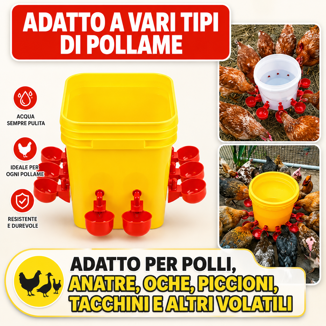 🐓 Abbeveratoio Automatico per Pollame – Acqua Sempre Pulita, Meno Sprechi e Meno Lavoro