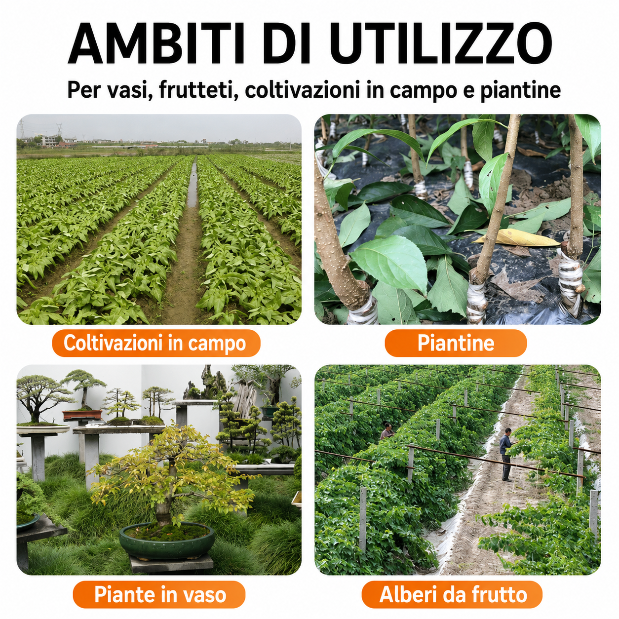 Trivella a Spirale per Trapano da Giardino