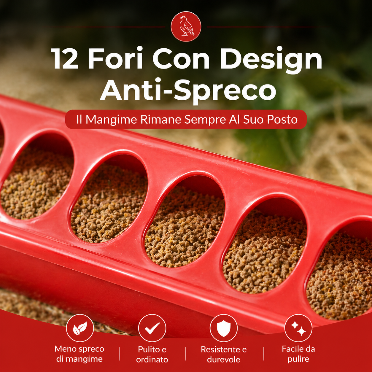 Mangiatoia Automatica Per Polli, 12 Fori