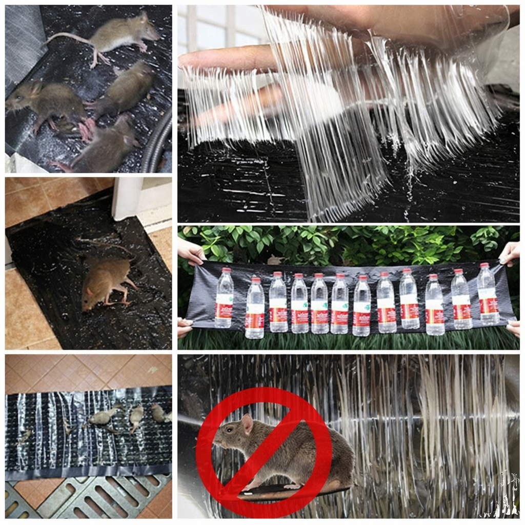 Trampas Adhesivas Profesionales – Extra Grandes para Atrapar Más Rápido