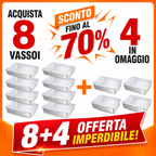 ✨ (8 +🎁4 GRATIS) | Contenitore Per Alimenti Da 2000 ML In Acciaio Inox Tedesco Massiccio 304