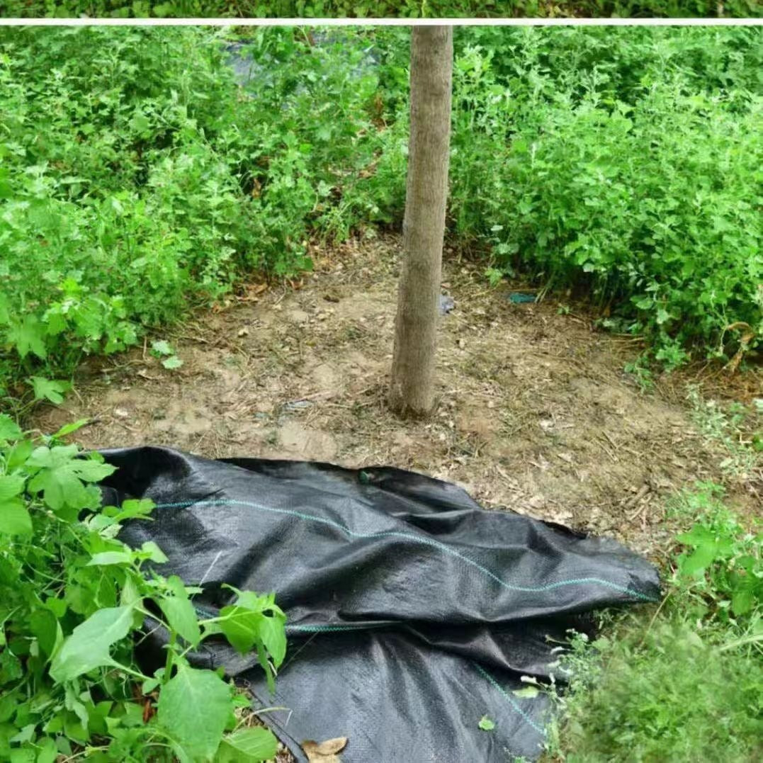 🌱 Telo Anti-Erbacce - Stop Alle Erbacce, Piante Più Forti e Sane