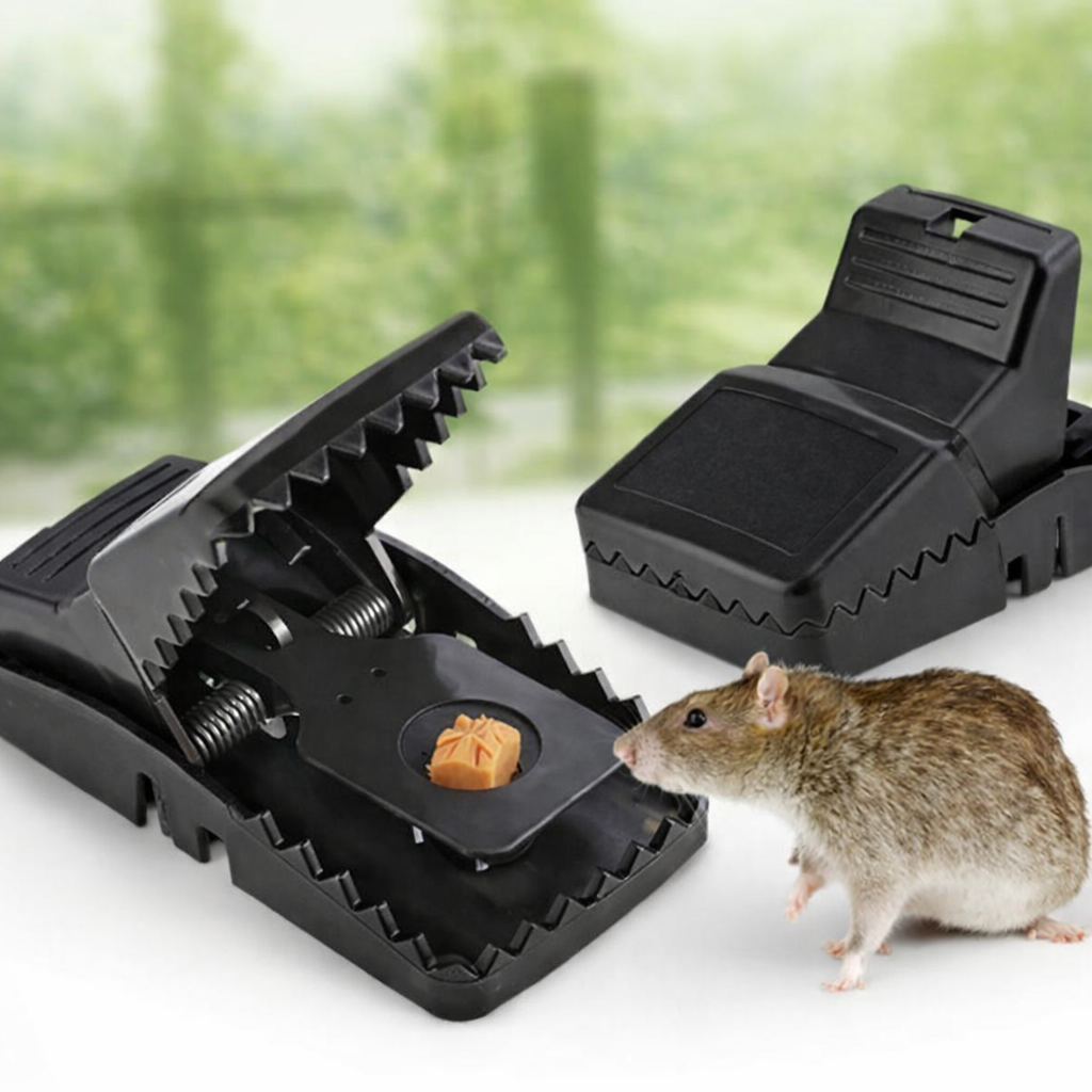 Trappola per Topi — Cattura in Secondi, Riutilizzabile all'Infinito