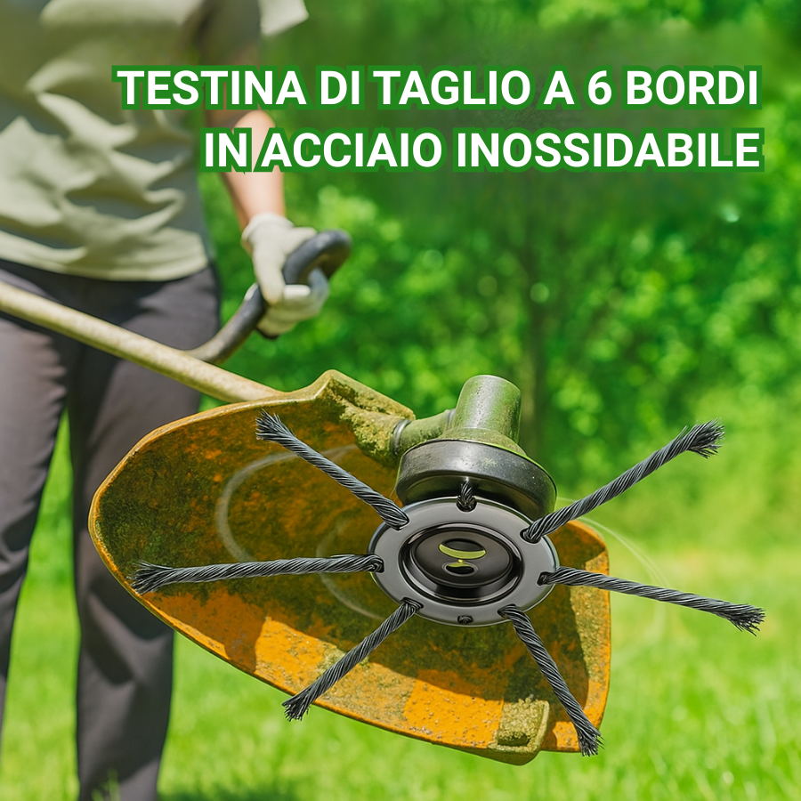 🇮🇹 La testina del tagliabordi ha 6 bordi in acciaio inossidabile (accessori inclusi)