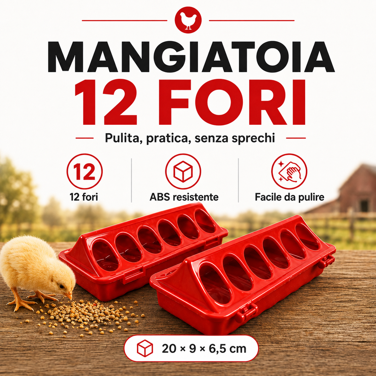 Mangiatoia 12 Fori Anti-Spreco | Polli e Avicoli