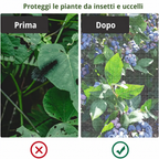 🐛 Sacchetti in Rete Traspirante per Proteggere Frutta e Verdura | Riutilizzabili