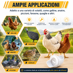 KIT ALIMENTATORE PER POLLAME