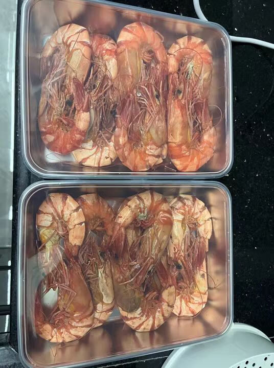 🇮🇹 Contenitore per alimenti da 2000 ml in acciaio inox tedesco massiccio 304