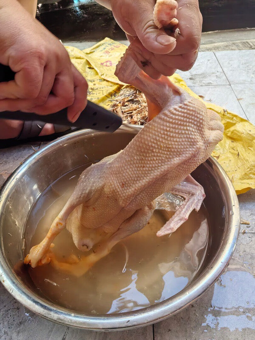 🇮🇹 Macchina per la rimozione delle piume di pollame ad alta potenza, portatile con caricatore rapido