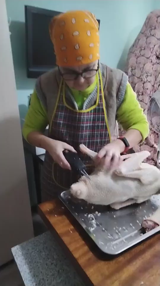 🇮🇹 Macchina per la rimozione delle piume di pollame ad alta potenza, portatile con caricatore rapido