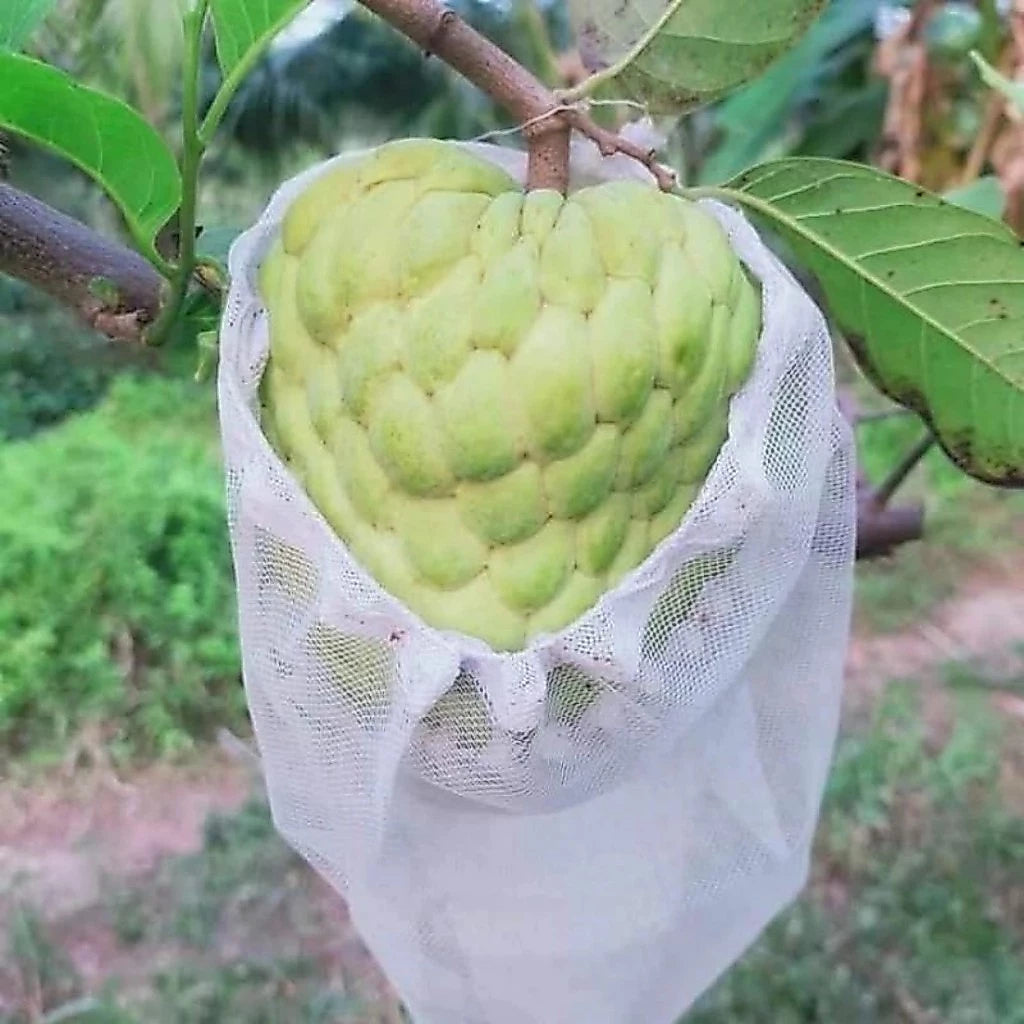 🐛 Sacchetti in Rete Traspirante per Proteggere Frutta e Verdura | Riutilizzabili