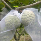 🐛 Sacchetti in Rete Traspirante per Proteggere Frutta e Verdura | Riutilizzabili
