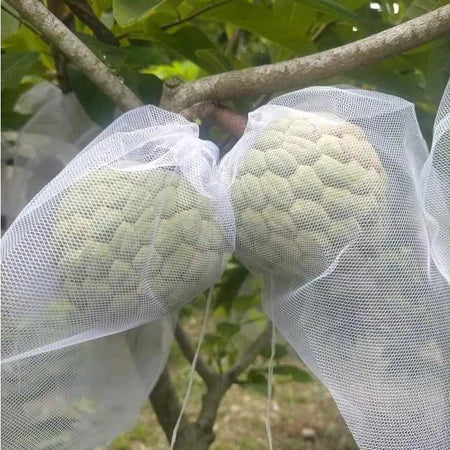 🐛 Sacchetti in Rete Traspirante per Proteggere Frutta e Verdura | Riutilizzabili