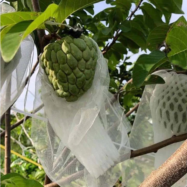 🐛 Sacchetti in Rete Traspirante per Proteggere Frutta e Verdura | Riutilizzabili