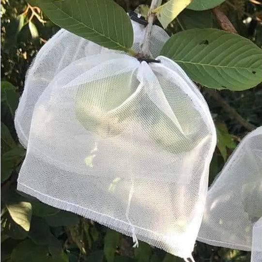 🐛 Sacchetti in Rete Traspirante per Proteggere Frutta e Verdura | Riutilizzabili