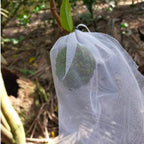 🐛 Sacchetti in Rete Traspirante per Proteggere Frutta e Verdura | Riutilizzabili