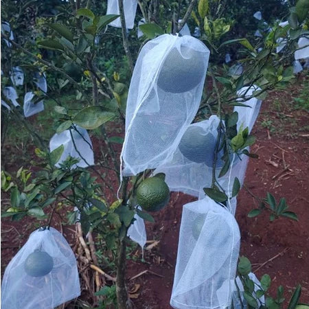 🐛 Sacchetti in Rete Traspirante per Proteggere Frutta e Verdura | Riutilizzabili