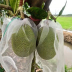 🐛 Sacchetti in Rete Traspirante per Proteggere Frutta e Verdura | Riutilizzabili
