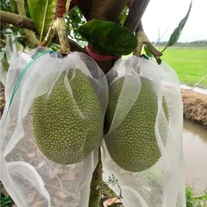 🐛 Sacchetti in Rete Traspirante per Proteggere Frutta e Verdura | Riutilizzabili