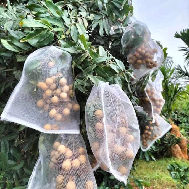 🐛 Sacchetti in Rete Traspirante per Proteggere Frutta e Verdura | Riutilizzabili
