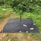 🌱 Telo Pacciamante Anti-Erbacce 100x100 cm | Foro Centrale 10 cm