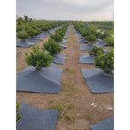 🌱 Telo Pacciamante Anti-Erbacce 100x100 cm | Foro Centrale 10 cm
