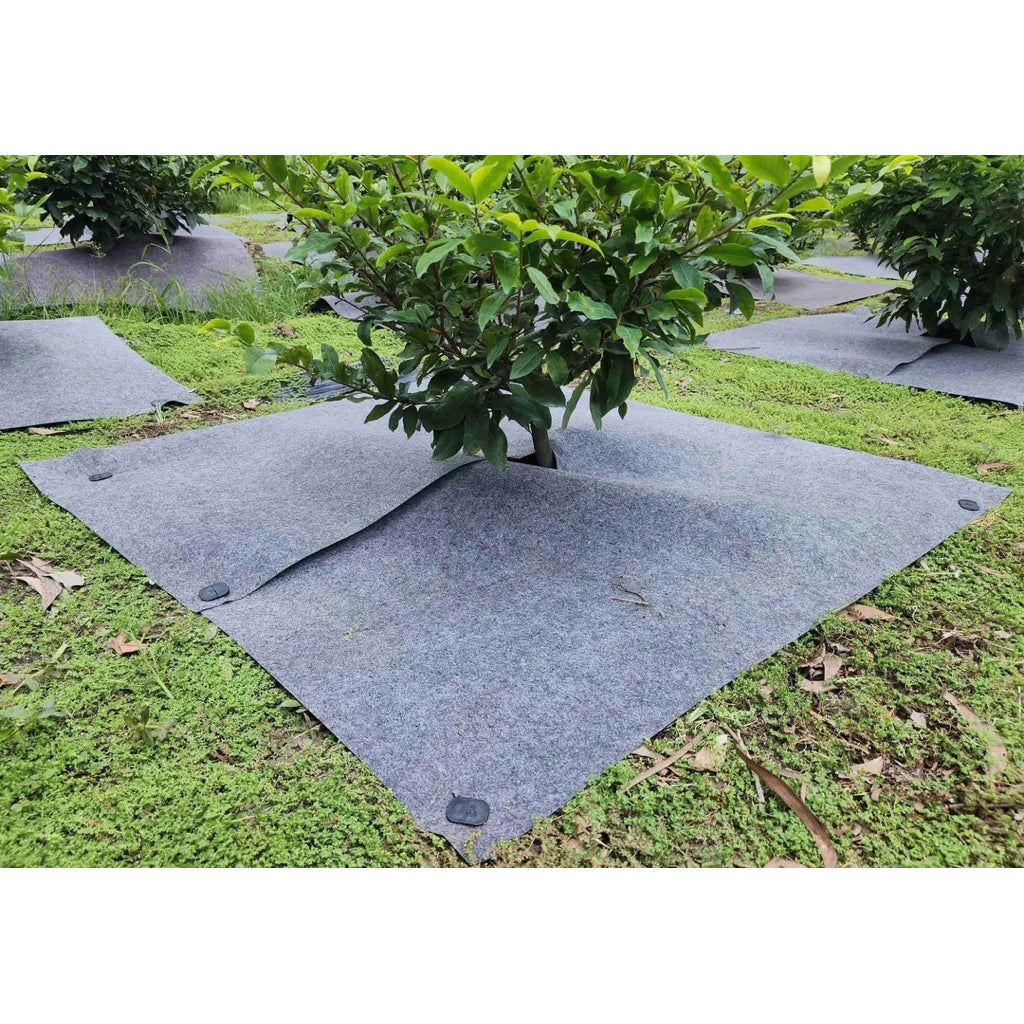 🌱 Telo Pacciamante Anti-Erbacce 100x100 cm | Foro Centrale 10 cm